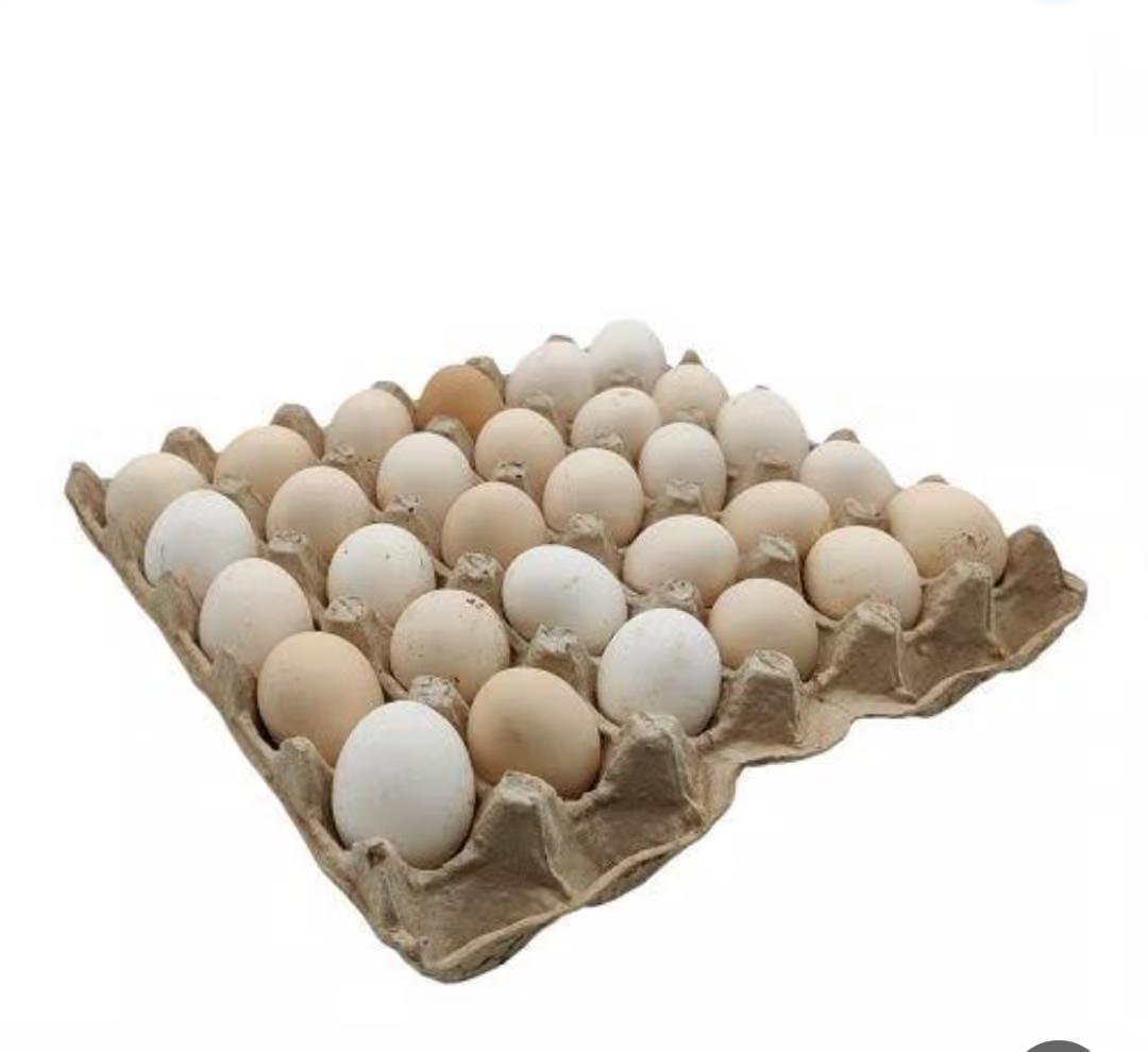 الأخوة